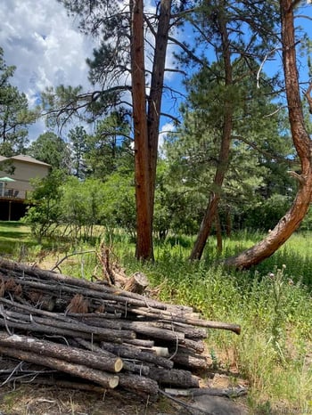 1025 Tenderfoot Dr, Larkspur, CO 80118