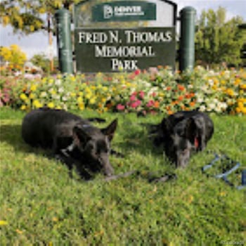 2680 Leyden St, Denver, CO 80207