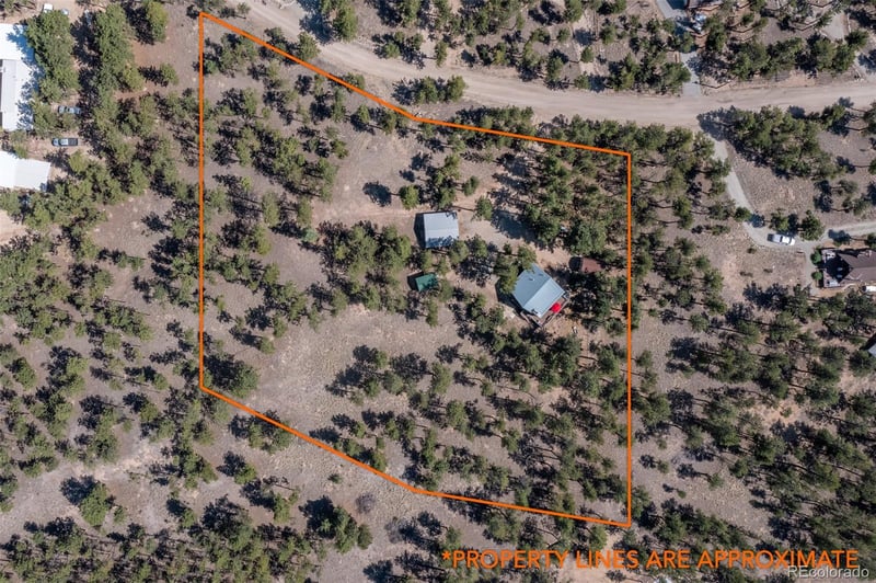 16530 Mt Princeton Rd, Buena Vista, CO 81211