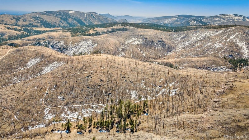 Rist Creek Rd, Bellvue, CO 80512