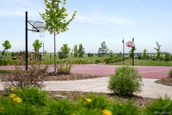 10465 Konstanz St, Parker, CO 80134