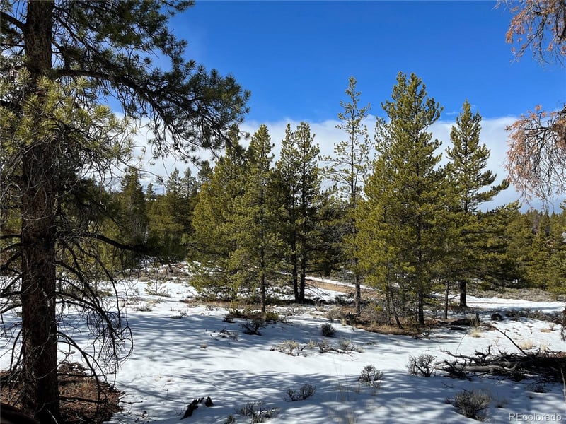 28 Juniper Dr, Twin Lakes, CO 81251
