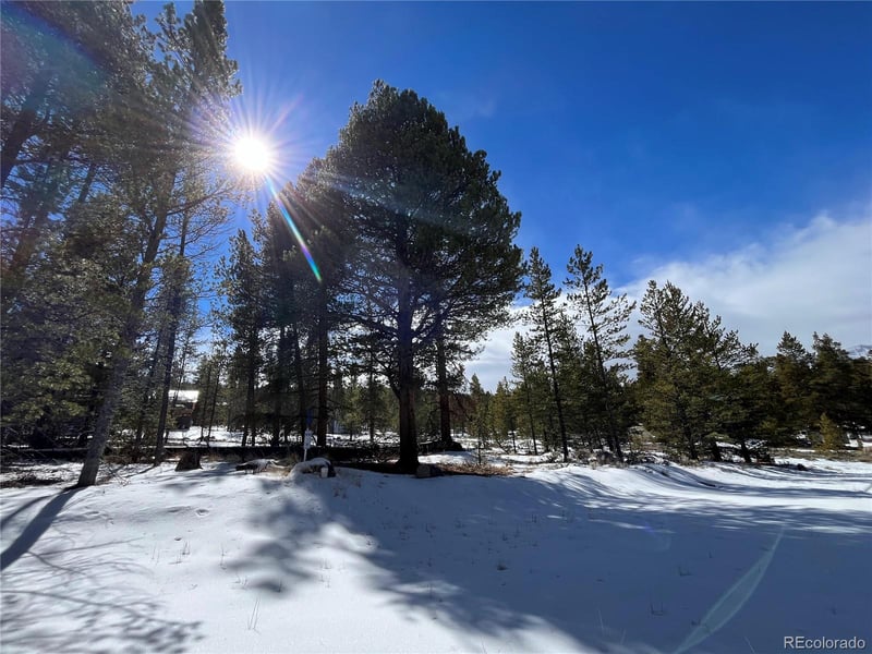 28 Juniper Dr, Twin Lakes, CO 81251
