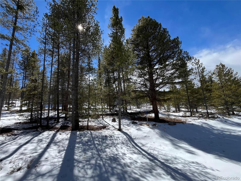 28 Juniper Dr, Twin Lakes, CO 81251