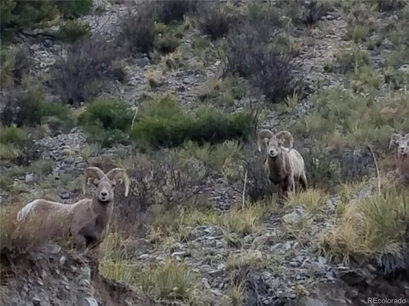 28 Juniper Dr, Twin Lakes, CO 81251