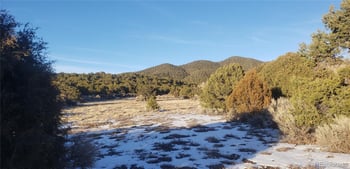 Lot 1359 Dunn Rd, San Luis, CO 81152