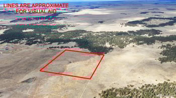 19415 Fransioli Vw, Colorado Springs, CO 80908