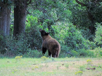 County Rd 23 3, Weston, CO 81091