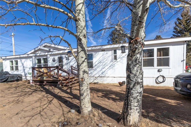 311 Eaton Ave, Cripple Creek, CO 80813