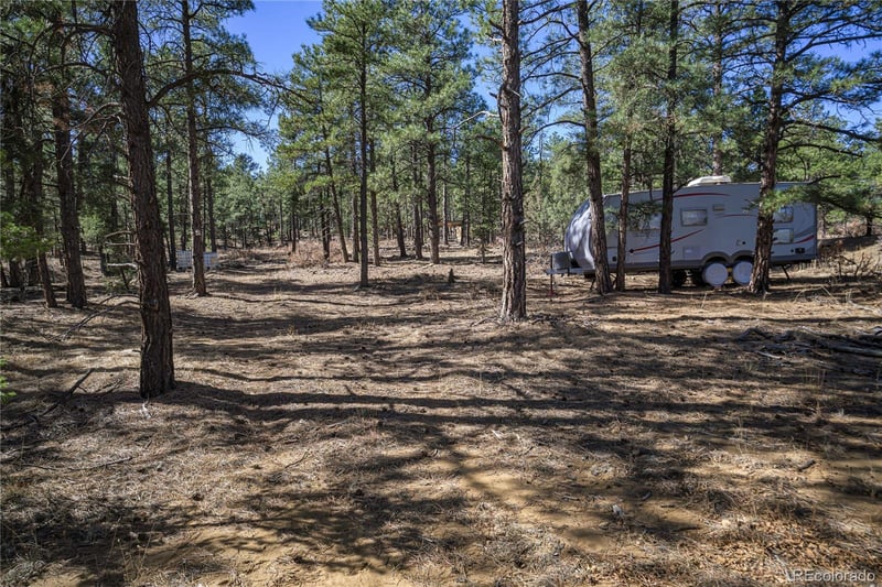 17990 King Rd, Weston, CO 81091