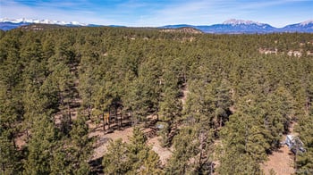 17990 King Rd, Weston, CO 81091