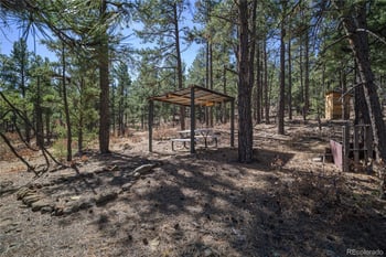 17990 King Rd, Weston, CO 81091