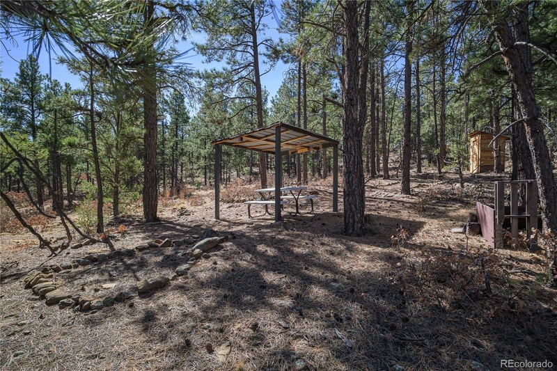 17990 King Rd, Weston, CO 81091