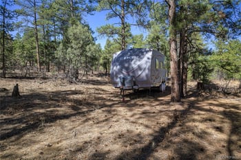 17990 King Rd, Weston, CO 81091
