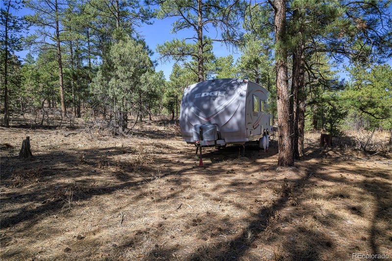 17990 King Rd, Weston, CO 81091