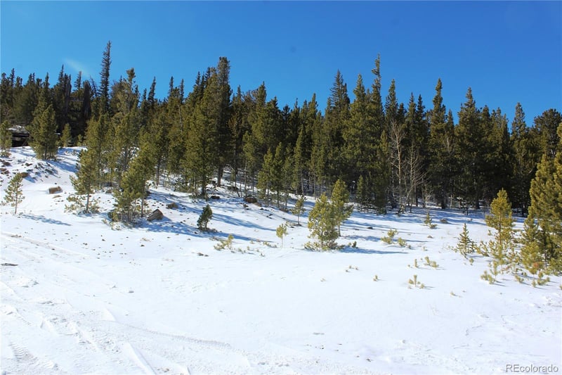 309 Aspen Lot 309, Idaho Springs, CO 80453