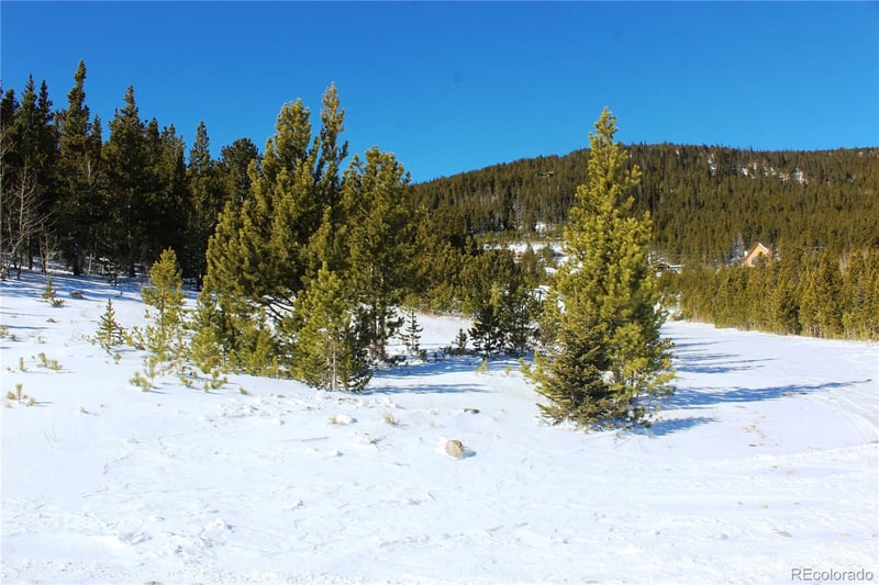 309 Aspen Lot 309, Idaho Springs, CO 80453