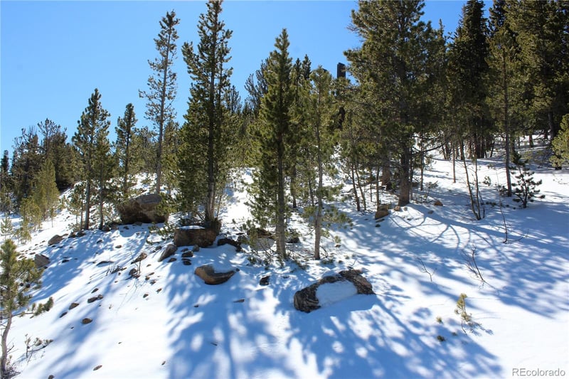 309 Aspen Lot 309, Idaho Springs, CO 80453