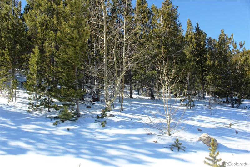 309 Aspen Lot 309, Idaho Springs, CO 80453