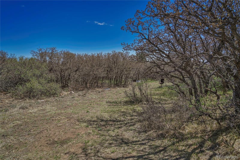 Cl&l Lot 93, Walsenburg, CO 81089