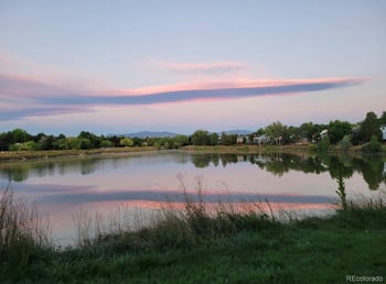 8830 80th Dr, Arvada, CO 80005