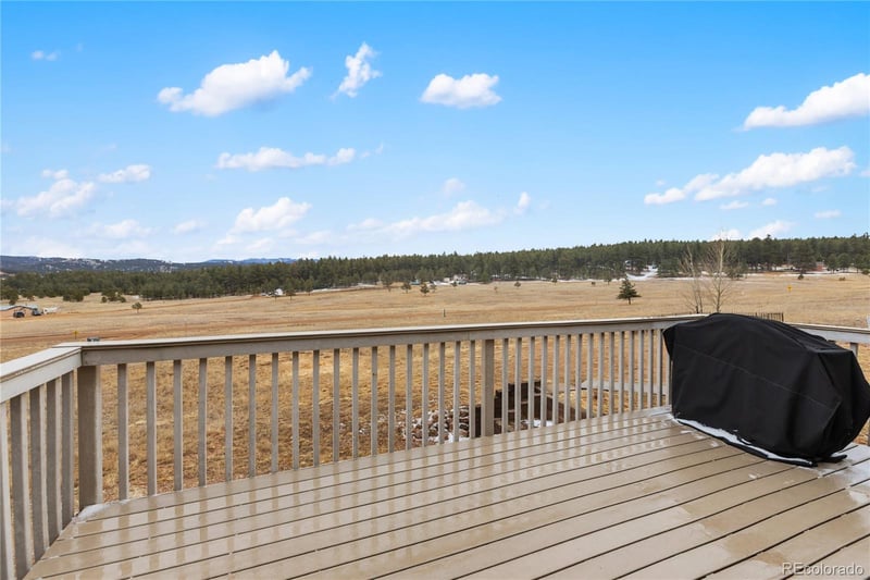 901 Wilson Dr, Florissant, CO 80816