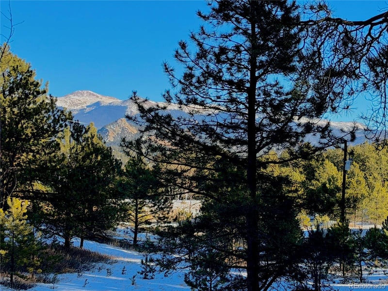 919 Matterhorn Dr, Florissant, CO 80816