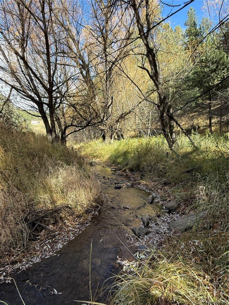 7438 Turkey Creek Rd, Morrison, CO 80465