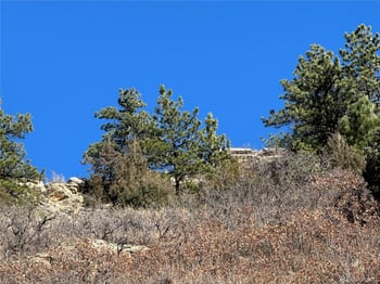 6668 Old Ranch Trl, Littleton, CO 80125