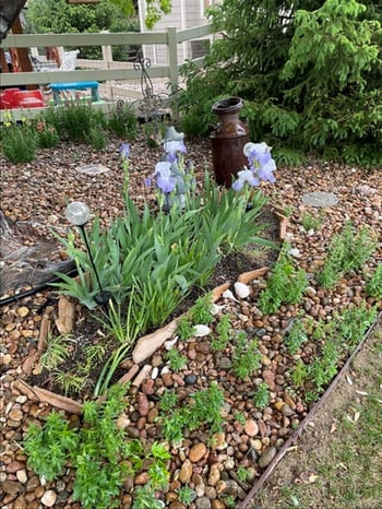 13082 Tejon Ct, Denver, CO 80234