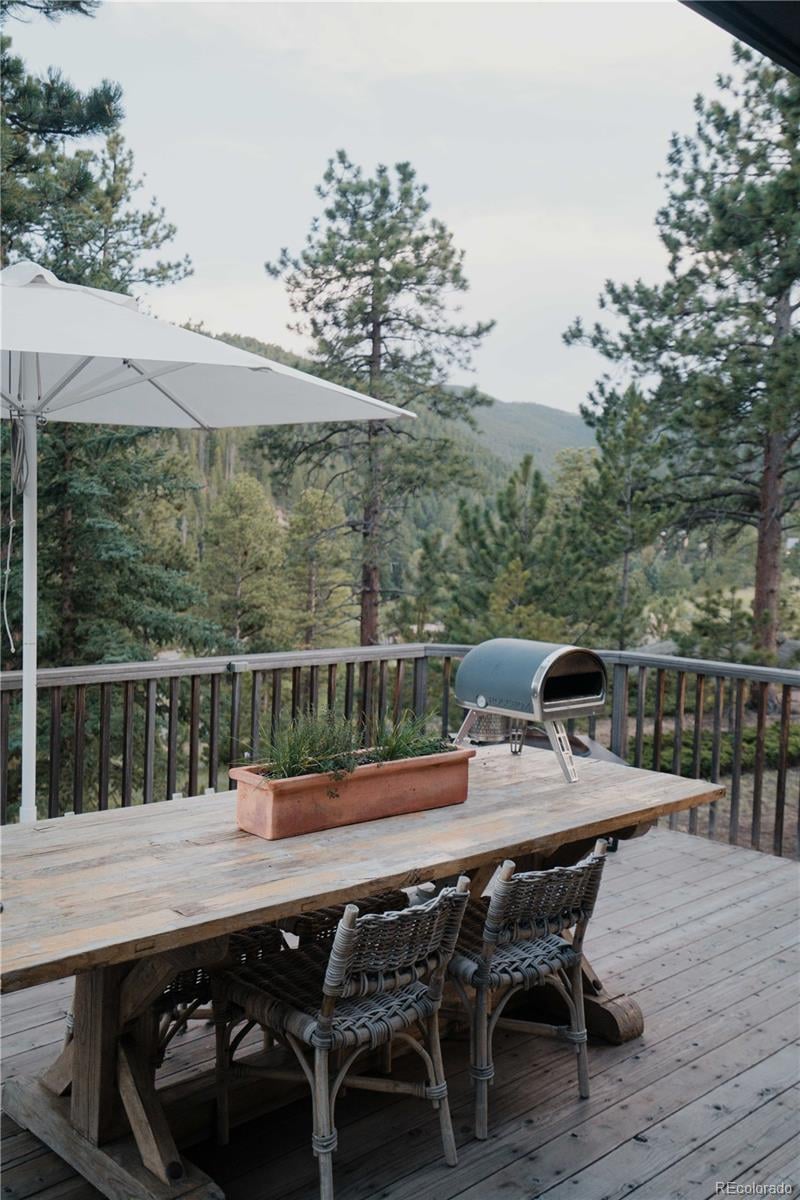 30776 Burland Rd, Golden, CO 80403