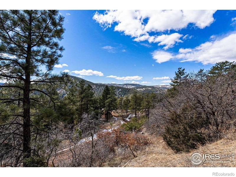 15111 Elk Mountain Trl, Littleton, CO 80127