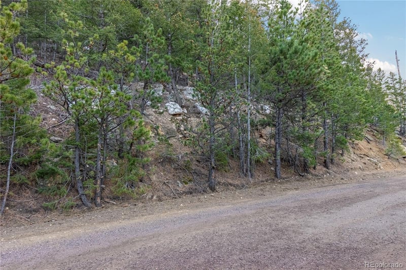 000 Upper Moss Rock Rd, Golden, CO 80401