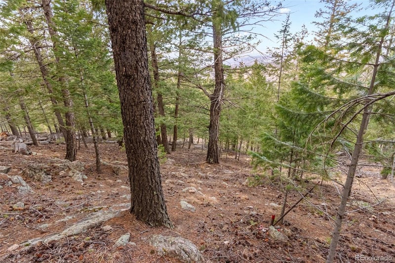 000 Upper Moss Rock Rd, Golden, CO 80401
