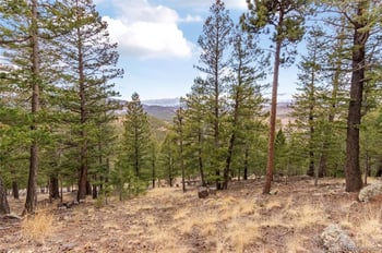 000 Upper Moss Rock Rd, Golden, CO 80401