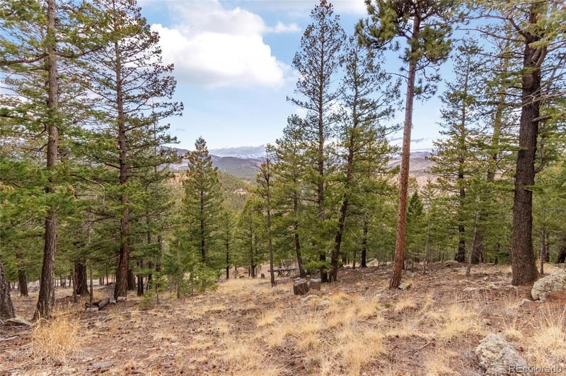 000 Upper Moss Rock Rd, Golden, CO 80401