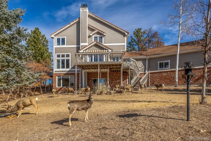 5953 Angie Ct, Parker, CO 80134