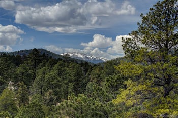 27987 Richmond Hill Rd, Conifer, CO 80433