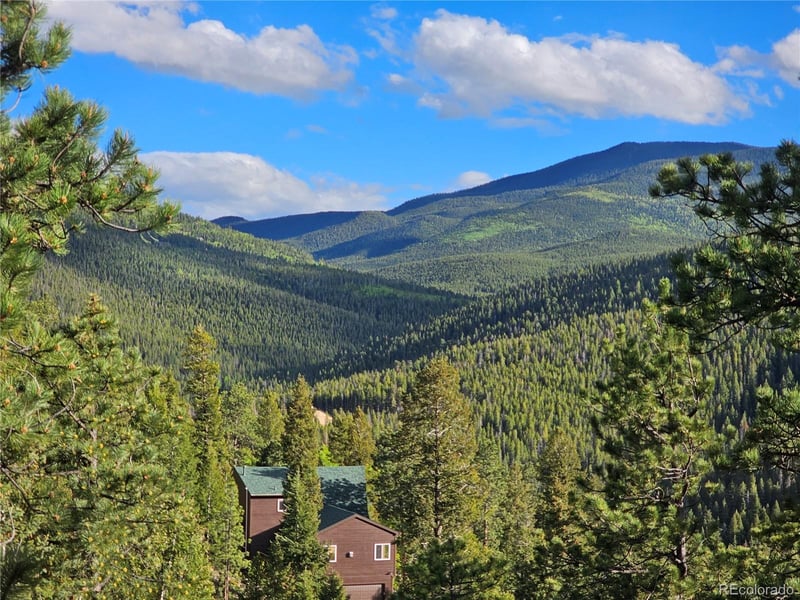 32783 Lodgepole Cir, Evergreen, CO 80439