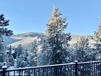 32783 Lodgepole Cir, Evergreen, CO 80439