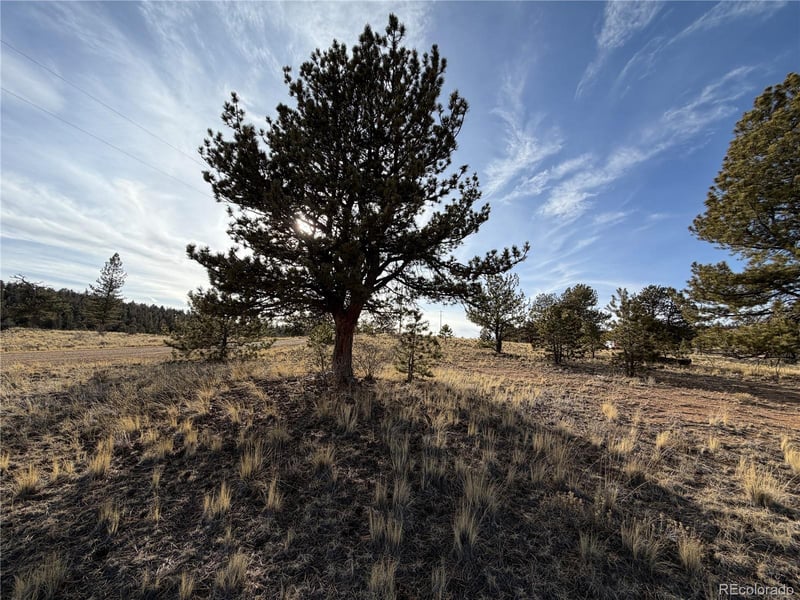 Mesa Ave, Hartsel, CO 80449