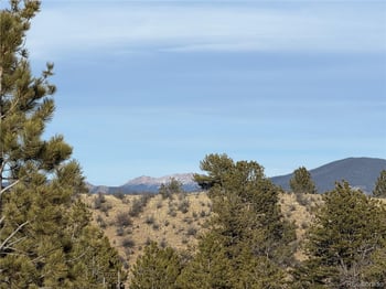 Oak St, Hartsel, CO 80449