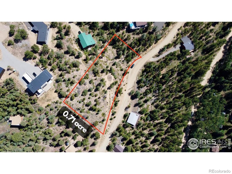 46 Pinecliff Trl, Nederland, CO 80466