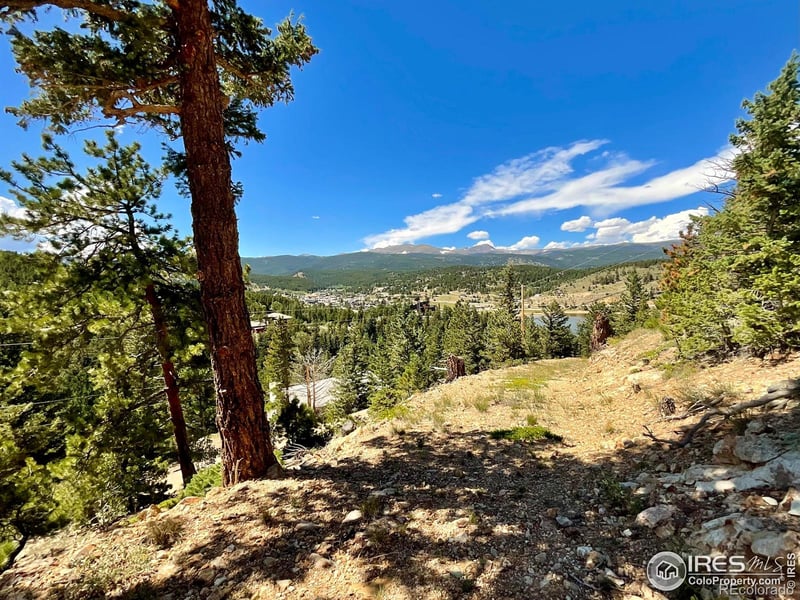 46 Pinecliff Trl, Nederland, CO 80466
