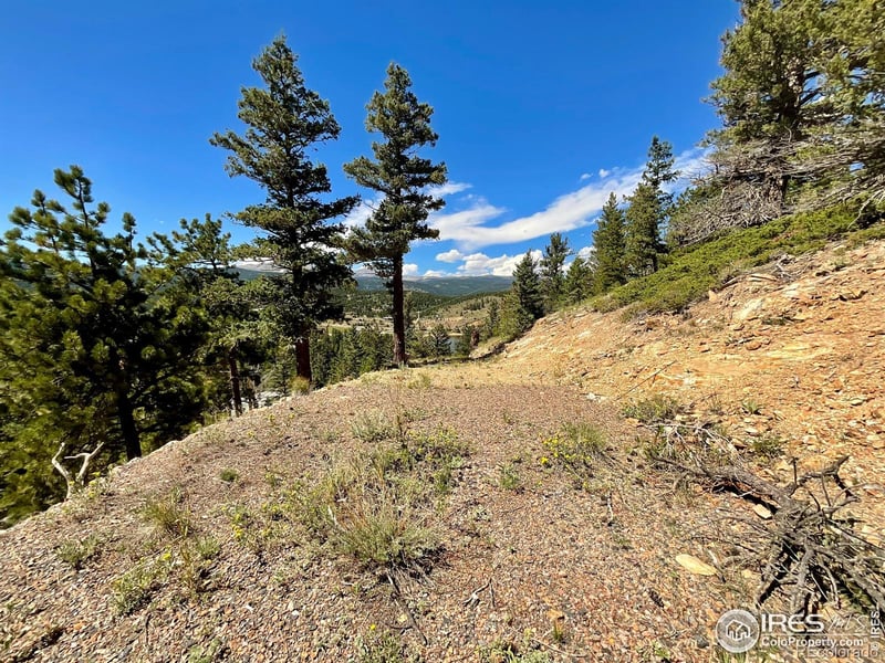 46 Pinecliff Trl, Nederland, CO 80466