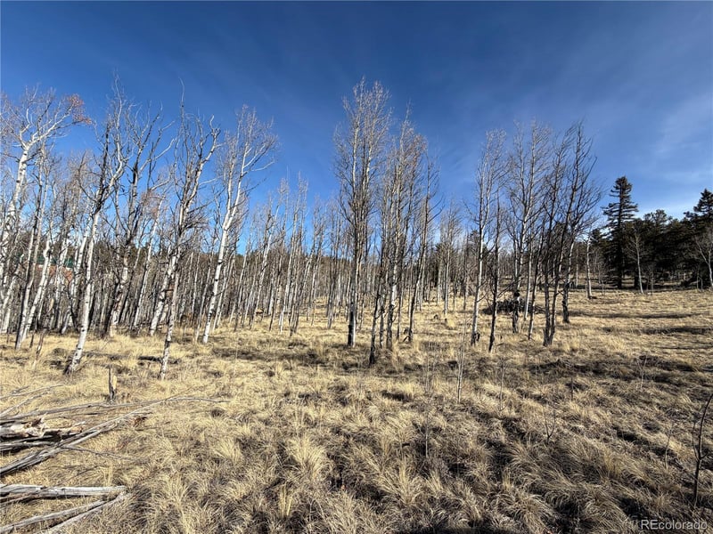 32 Sugar Loaf Ln, Jefferson, CO 80456