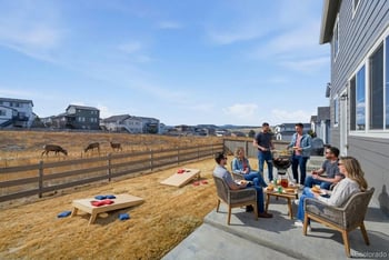 156 Dunsinane Ln, Castle Rock, CO 80104