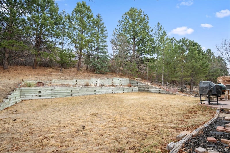 1600 Pinyon Dr, Castle Rock, CO 80104