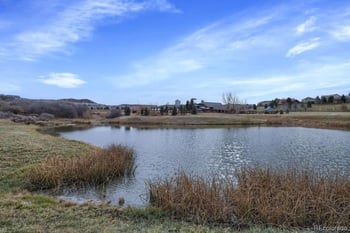 1935 Candleglow St, Castle Rock, CO 80109