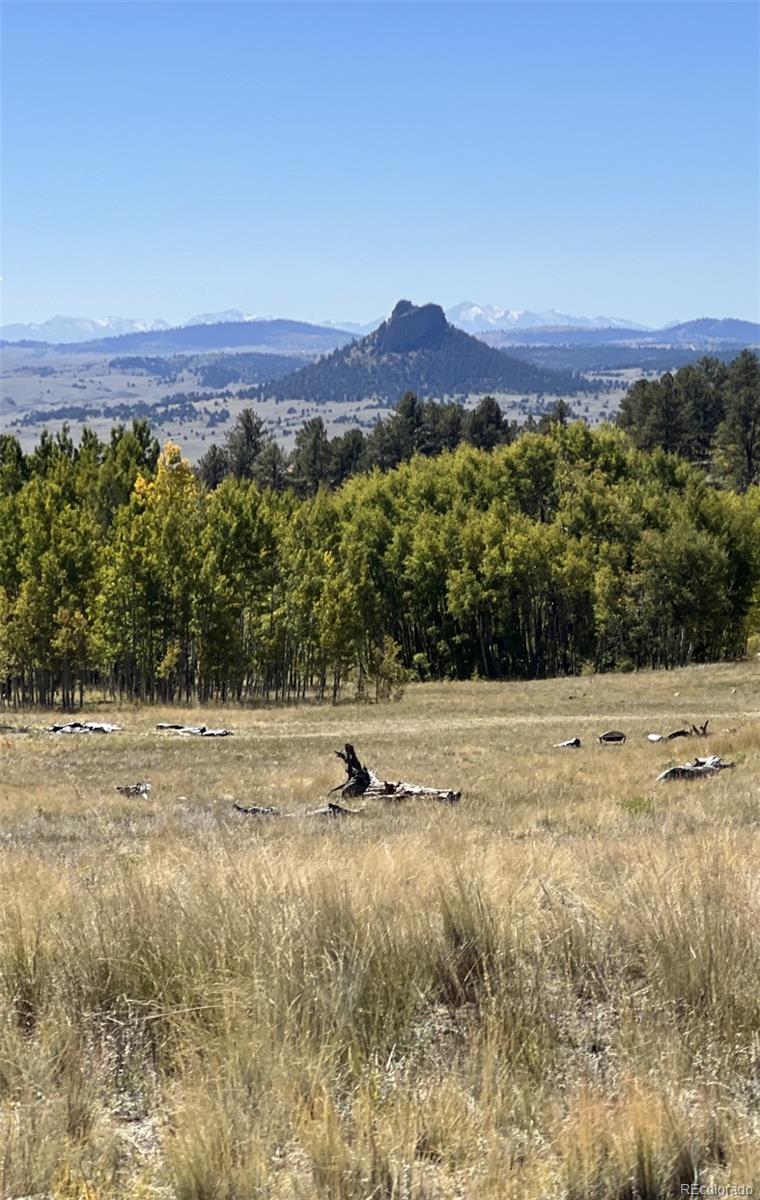503 Sugar Loaf Ln, Jefferson, CO 80456
